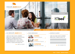 Experts comptables